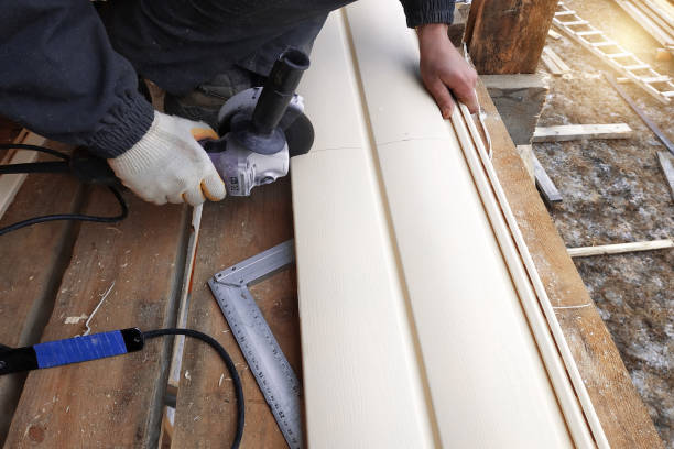 Best Stone Veneer Siding  in Marshall, MI