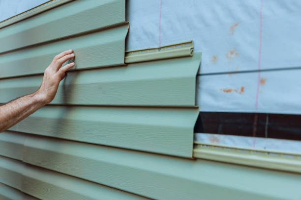 Best Custom Trim and Detailing for Siding  in Marshall, MI